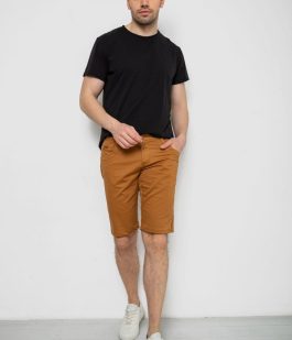 Шорты мужские однотонные, цвет коричневый, 238R2466