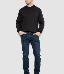 Джинсы мужские демисезонные, цвет темно-синий, 243R8689-2