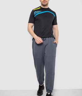 Спортивные мужские штаны демисезонные, цвет серый, 241R001-1