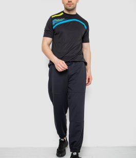 Спортивные мужские штаны демисезонные, цвет темно-синий, 241R001-1
