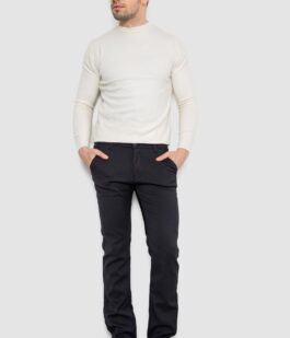 Брюки мужские классические на флисе, цвет черный, 244RFH311