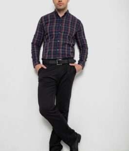 Рубашка мужская в клеточку, цвет синий, 214R1255