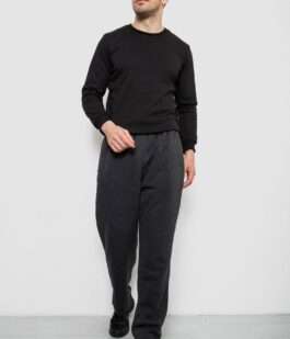 Спортивные штаны мужские на флисе, цвет серый, 244R41715