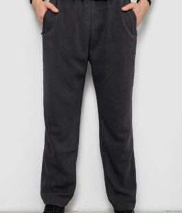 Спортивные штаны мужские на флисе, цвет серый, 244R41715