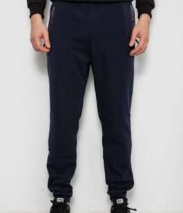 Спортивные штаны мужские на флисе, цвет синий, 244R41558