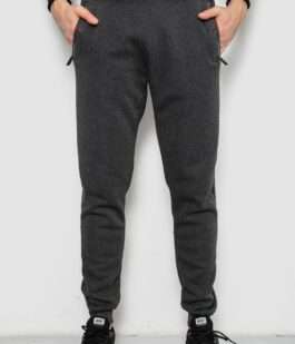 Спортивные штаны мужские на флисе, цвет серый, 244R41558