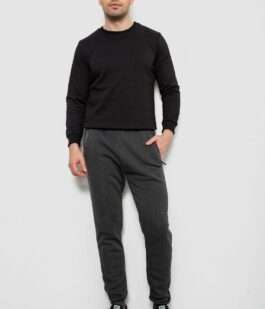 Спортивные штаны мужские на флисе, цвет серый, 244R41558