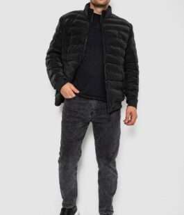 Куртка мужская демисезонная 214R835К, цвет Черный