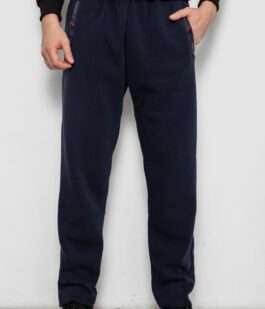 Спортивные штаны мужские на флисе, цвет синий, 244R41753