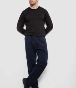 Спортивные штаны мужские на флисе, цвет синий, 244R41753