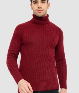 Гольф мужской, цвет бордовый, 238R57115