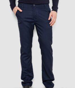 Брюки мужские, цвет темно-синий, 244R4203B