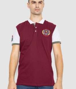 Поло мужское с принтом, цвет бордовый, 247R317
