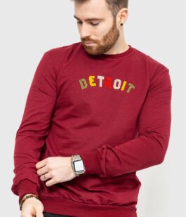 Свитшот мужской демисезонный, цвет бордовый, 208R0204