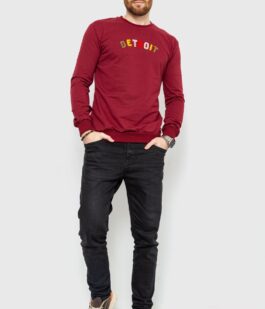 Свитшот мужской демисезонный, цвет бордовый, 208R0204