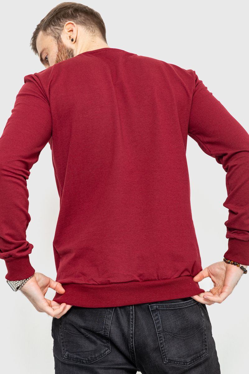 Свитшот мужской демисезонный, цвет бордовый, 208R0204 — изображение 4