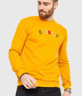 Свитшот мужской демисезонный, цвет оранжевый, 208R0204