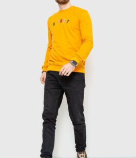 Свитшот мужской демисезонный, цвет оранжевый, 208R0204