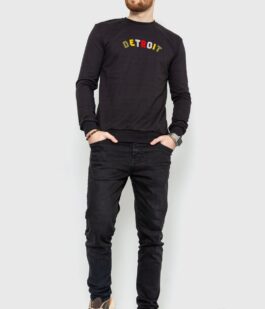 Свитшот мужской демисезонный, цвет черный, 208R0204