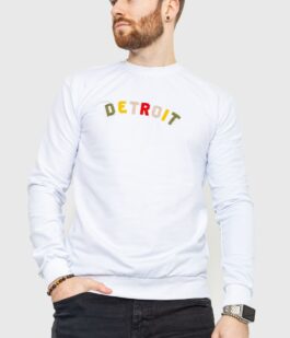 Свитшот мужской демисезонный, цвет белый, 208R0204