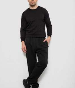 Спортивные штаны мужские на флисе, цвет черный, 244R41748