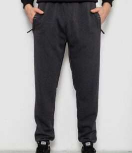 Спортивные штаны мужские на флисе, цвет серый, 244R41748