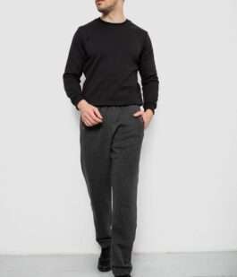 Спортивные штаны мужские на флисе, цвет серый, 244R41597