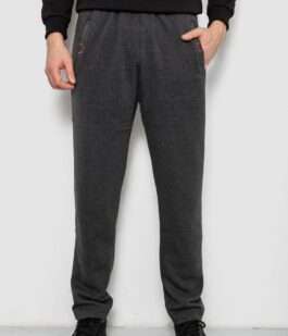 Спортивные штаны мужские на флисе, цвет серый, 244R41597