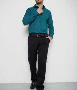 Рубашка мужская с длинным рукавом, цвет зеленый, 214R7470