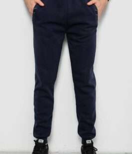 Спортивные штаны мужские на флисе, цвет синий, 244R41553