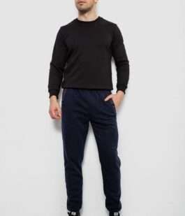 Спортивные штаны мужские на флисе, цвет синий, 244R41553