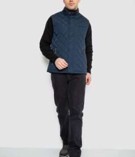 Жилетка мужская демисезонная, цвет темно-синий, 244RM5