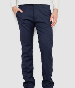 Брюки мужские классические утепленные, цвет темно-синий, 244RFH308-2