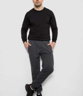 Спортивные штаны мужские на флисе, цвет серый, 244R6120