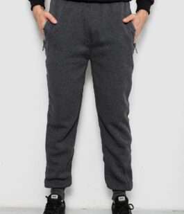 Спортивные штаны мужские на флисе, цвет серый, 244R6120