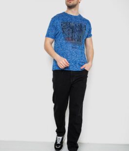 Футболка мужская с принтом, цвет синий, 244R6019