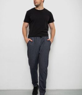 Спортивные штаны мужские на флисе, цвет серый, 238R135