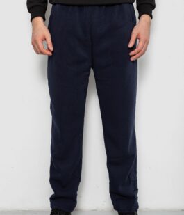 Спортивные штаны мужские на флисе, цвет синий, 244R41715