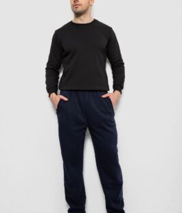 Спортивные штаны мужские на флисе, цвет синий, 244R41715