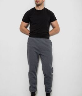 Спортивные штаны мужские на флисе, цвет серый, 238R56910-5