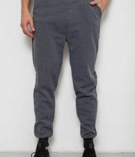 Спортивные штаны мужские на флисе, цвет серый, 238R56910-5
