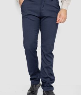 Брюки мужские классические, цвет темно-синий, 244RFH313-2