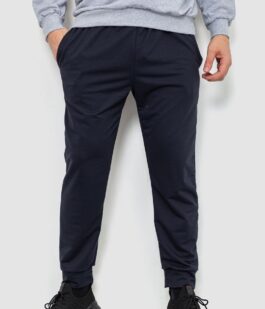 Спортивные штаны мужские двухнитка, цвет темно-синий, 241R8005