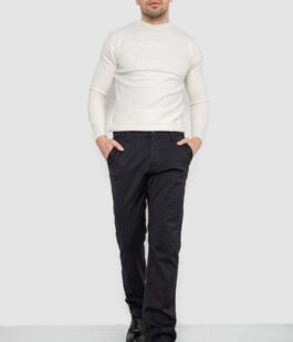 Брюки мужские классические утепленные, цвет черный, 244RFH310