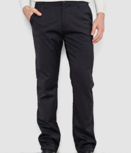 Брюки мужские классические утепленные, цвет черный, 244RFH310