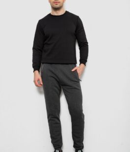 Спортивные штаны мужские на флисе, цвет серый, 244R41558