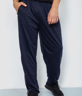 Спортивные штаны мужские, цвет темно-синий, 244R0668