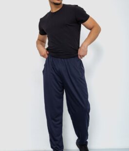 Спортивные штаны мужские, цвет темно-синий, 244R0668