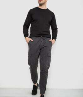 Штаны мужские однотонные, цвет серый, 244R1693