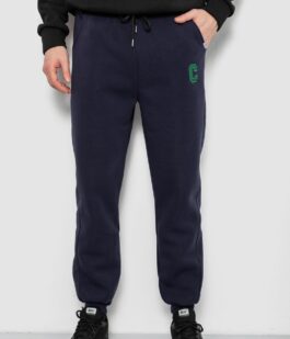 Спортивные штаны мужские на флисе, цвет синий, 129RA9995